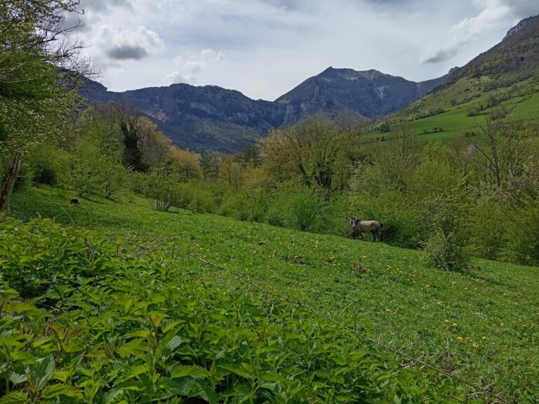 Visite de la Jacine dans le Vercors.
