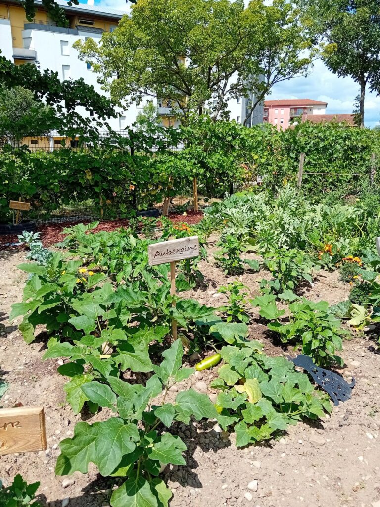 Anniversaire du GEM l’Abeille Vie